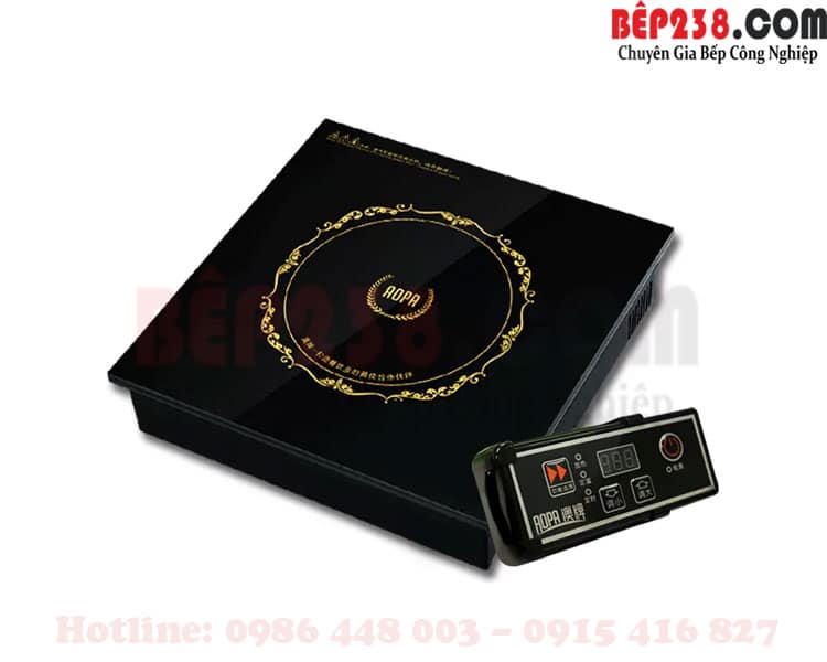 bếp từ nhà hàng lẩu được ưa chuộng nhất, Điểm danh hai loại bếp từ nhà hàng lẩu được ưa chuộng nhất