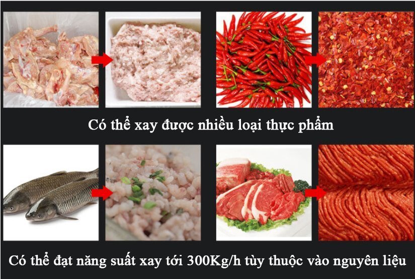 Máy xay thịt XT-52-3