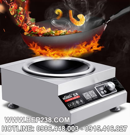 Bếp từ công nghiệp giá rẻ, Bếp từ công nghiệp giá rẻ và những lưu ý khi chọn mua