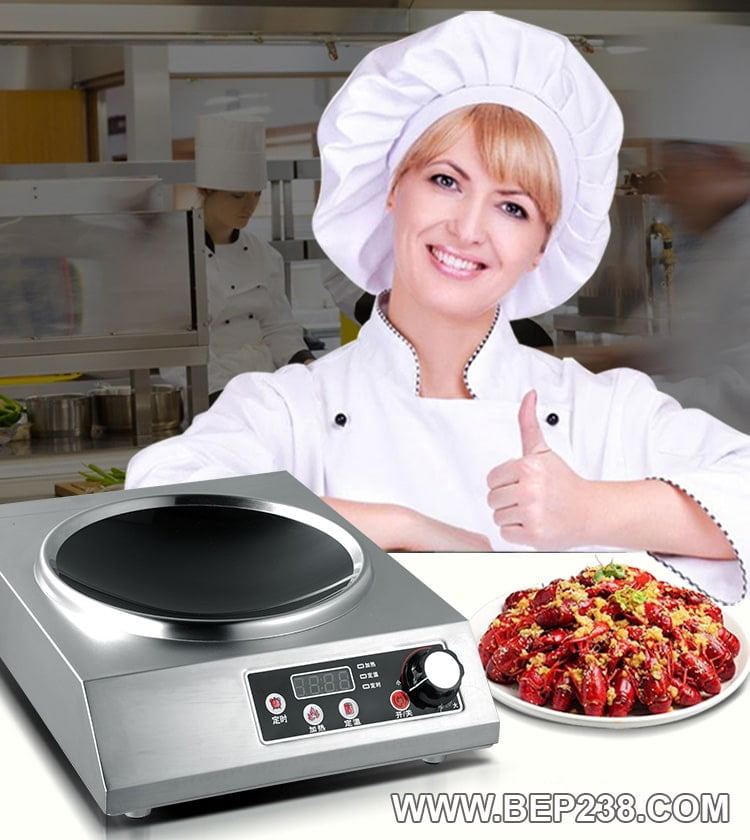 Giá Bếp Điện Từ Công Nghiệp – Bật Mí Giúp Người Kinh Doanh Mua Bếp Giá Tốt? 37 Giá bếp điện từ công nghiệp, Giá bếp điện từ công nghiệp – Bật mí giúp người kinh doanh mua bếp giá tốt?