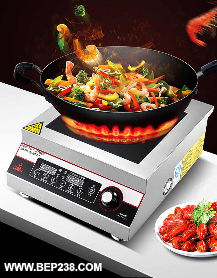 Giá Bếp Điện Từ Công Nghiệp – Bật Mí Giúp Người Kinh Doanh Mua Bếp Giá Tốt? 44 Giá bếp điện từ công nghiệp, Giá bếp điện từ công nghiệp – Bật mí giúp người kinh doanh mua bếp giá tốt?