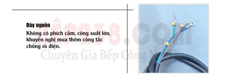 Bep ran phang dung dien VNK FY 600 day nguon